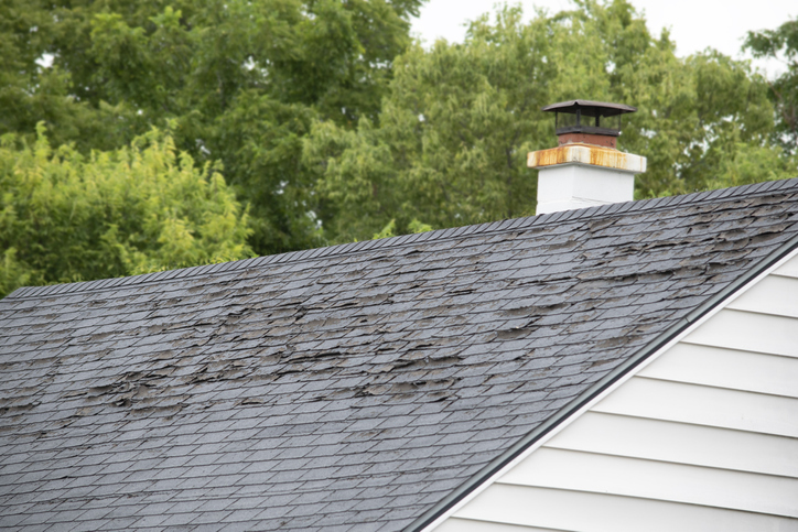 Roof Replacement Costs in Florida