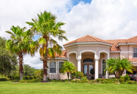 New Home with Palm Trees and Tropical Foliage