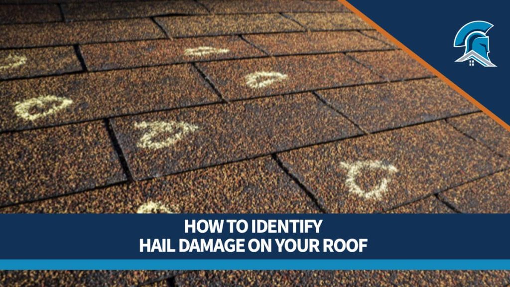 An image of an asphalt shingle roof with impact damage from hail strikes circled in chalk