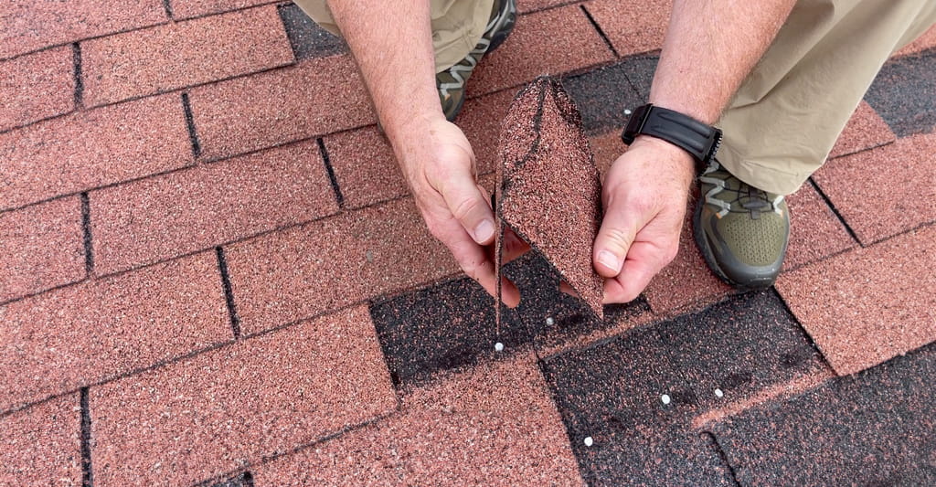 Homeowner holding damaged asphalt shingle from roof