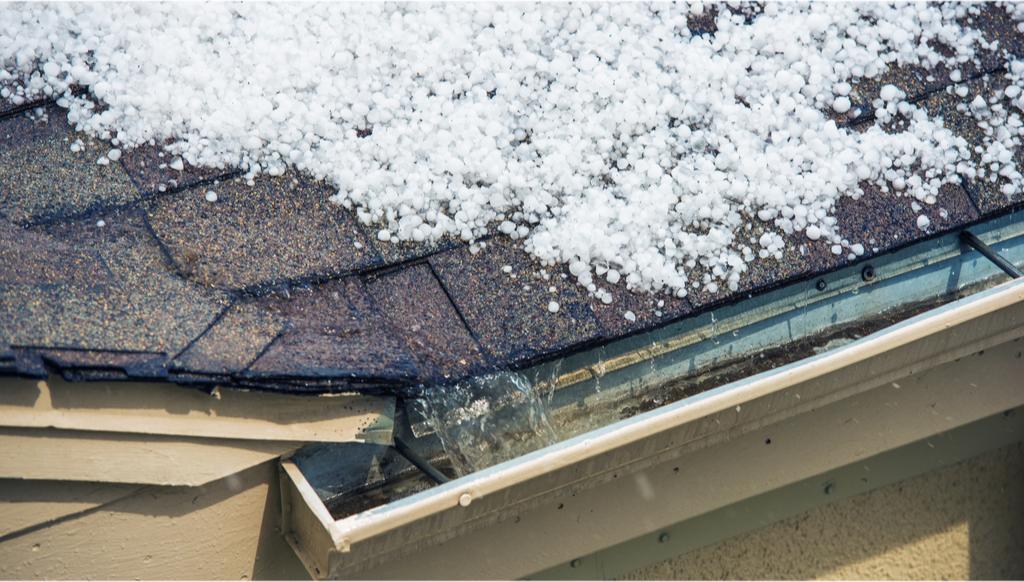 Hail sitting on an asphalt shingle roof with missing granules