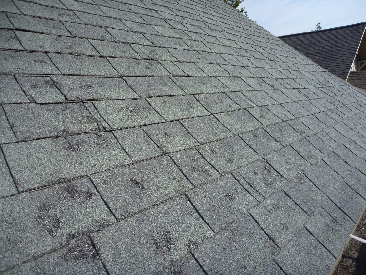 How to Identify Hail Damage on Your Roof & Shingles | Roof Maxx ...