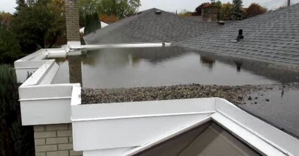 puddle of standing water on roof.