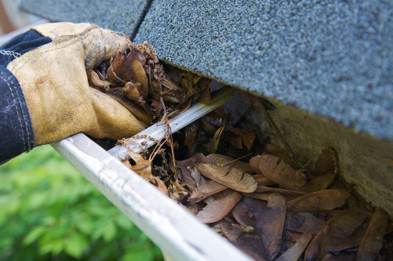 person cleaning out the gutters of leaves.