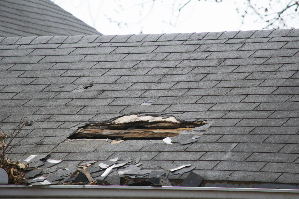 Severe rot from a leaky roof, with signs of black mold infiltration