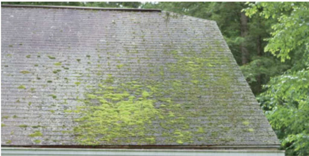 Roof moss removal