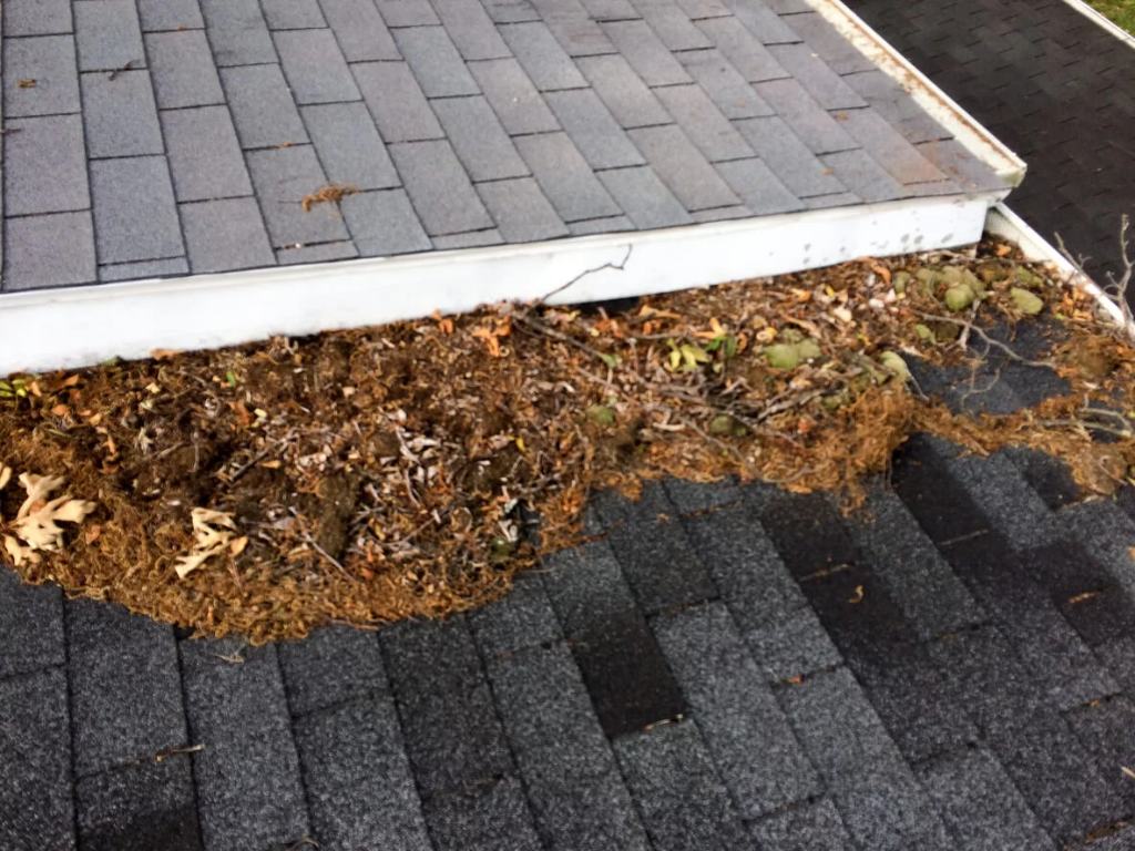 Leaves and other debris lay against the asphalt shingles on a roof