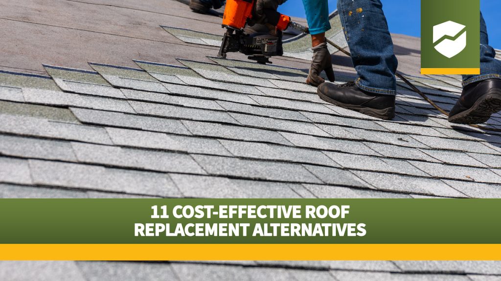 Roof Maxx logo and title "11 Cost-Effective Roof Replacement Alternatives" on an image of a roof being treated with Roof Maxx.