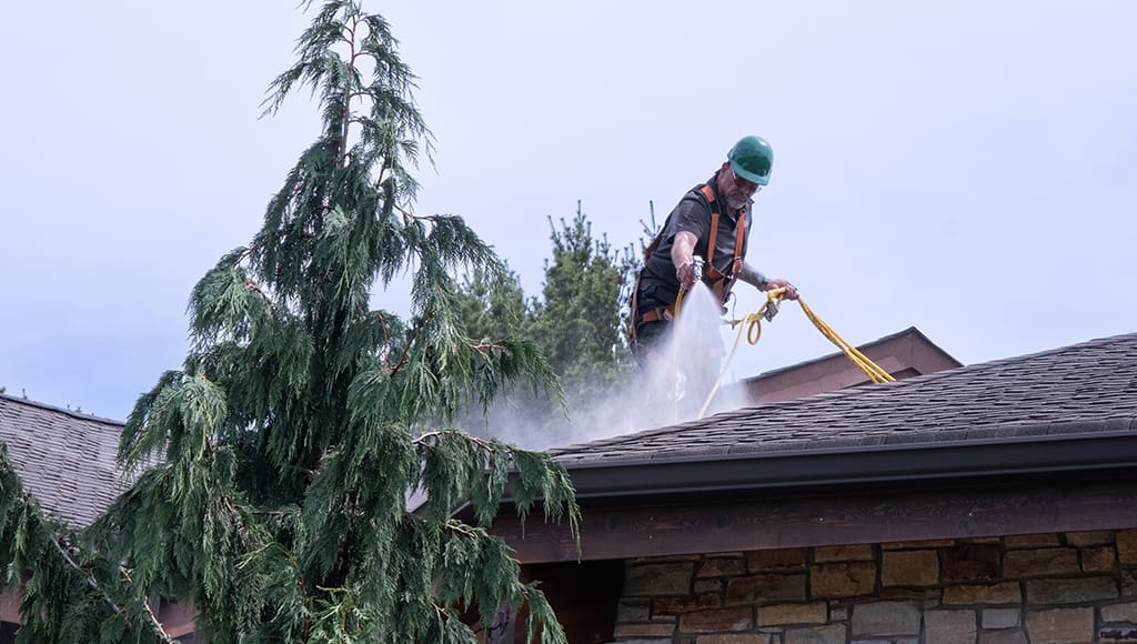 A worker on the roof of a residence is spraying it with a rejuvenation treatment.