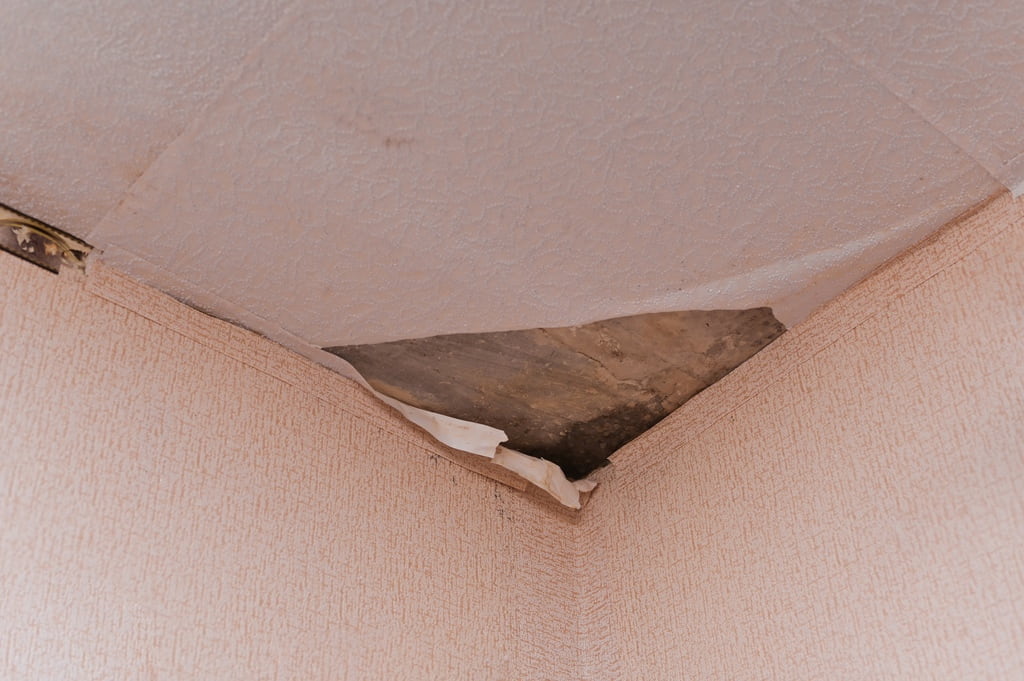 Damp spot in ceiling of home below roof leak.