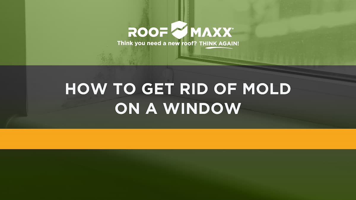 Title image with the Roof Maxx logo and title "How to Get Rid of Mold on a Window" on a green transparency over a close-up image of a windowsill with mold growth.