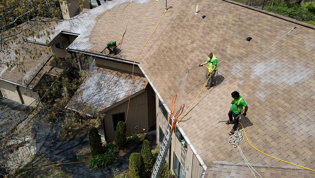 Roof Maxx spraying a roof with an all-natural, plant-based roof rejuvenation solution.