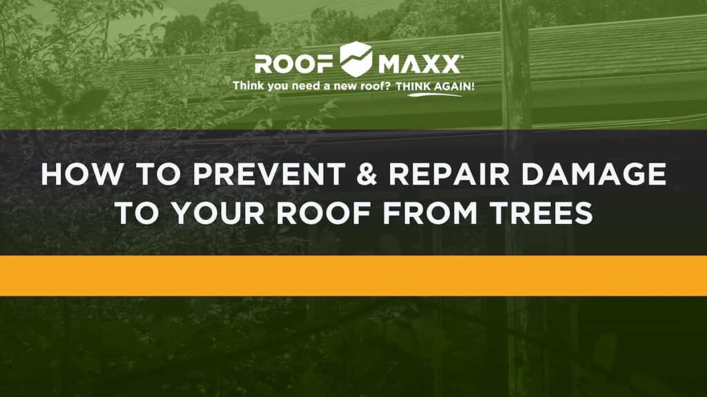 Title image with the Roof Maxx logo and title "How to Prevent & Repair Damage to Your Roof from Trees" on black and green transparencies over an image of a tree right next to a residential roof.