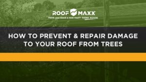 Title image with the Roof Maxx logo and title "How to Prevent & Repair Damage to Your Roof from Trees" on black and green transparencies over an image of a tree right next to a residential roof.