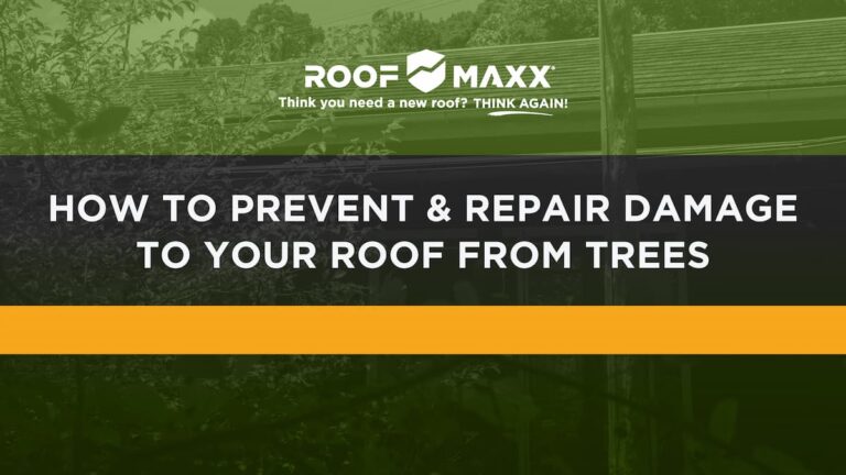 Title image with the Roof Maxx logo and title "How to Prevent & Repair Damage to Your Roof from Trees" on black and green transparencies over an image of a tree right next to a residential roof.