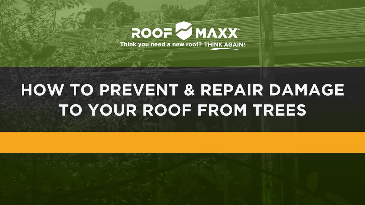 Title image with the Roof Maxx logo and title "How to Prevent & Repair Damage to Your Roof from Trees" on black and green transparencies over an image of a tree right next to a residential roof.