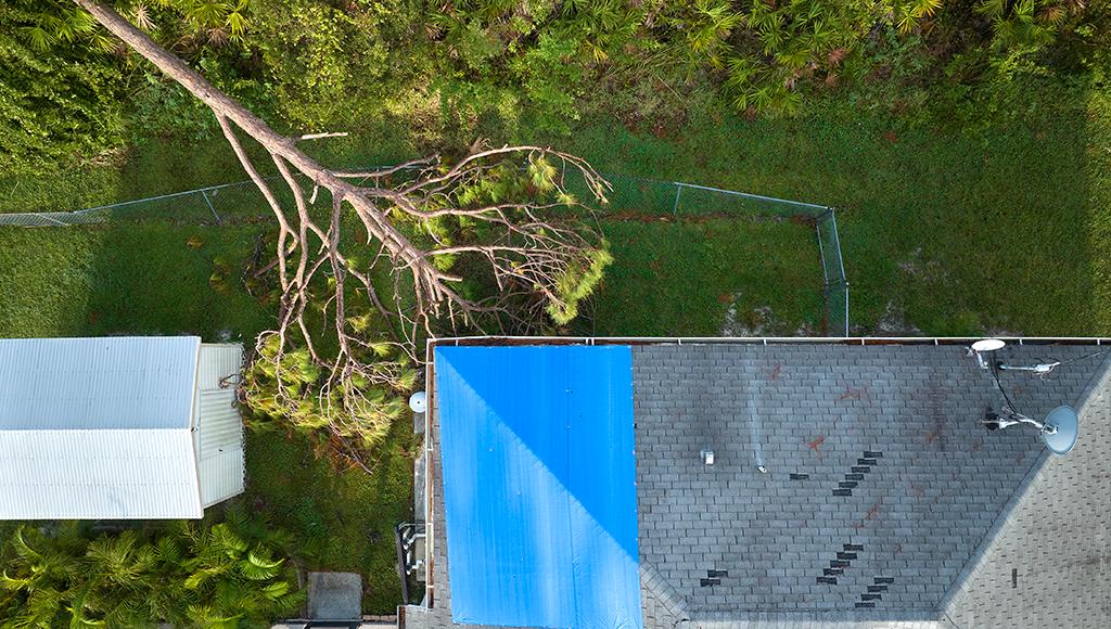 A roof is covered with a tarp after a nearby tree crashed through during Hurricane Ian.