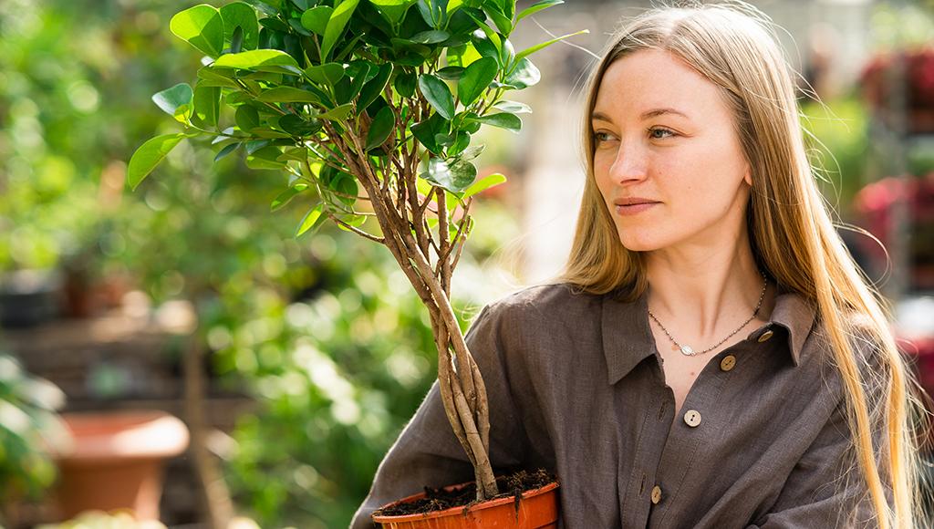 A woman holding a sapling shops for trees in a nursery.