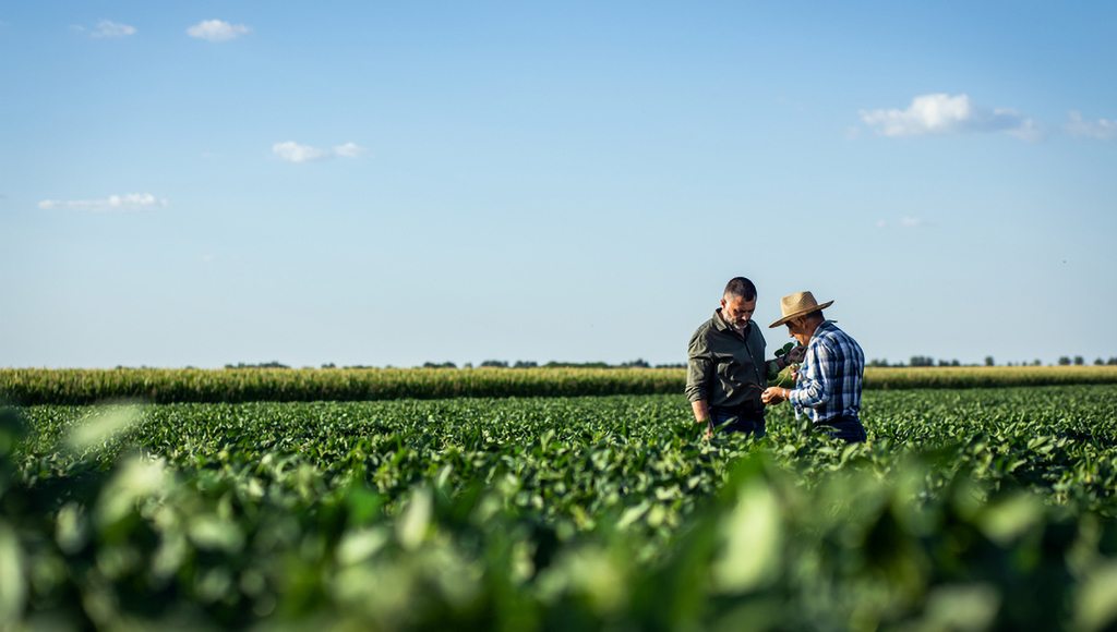 A US-based soybean farm, our most important source of ingredients for Roof Maxx.