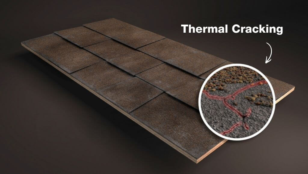 Example of thermal cracking on asphalt shingles shown in a close-up inset over a 3D rendering of shingles on a roof deck.