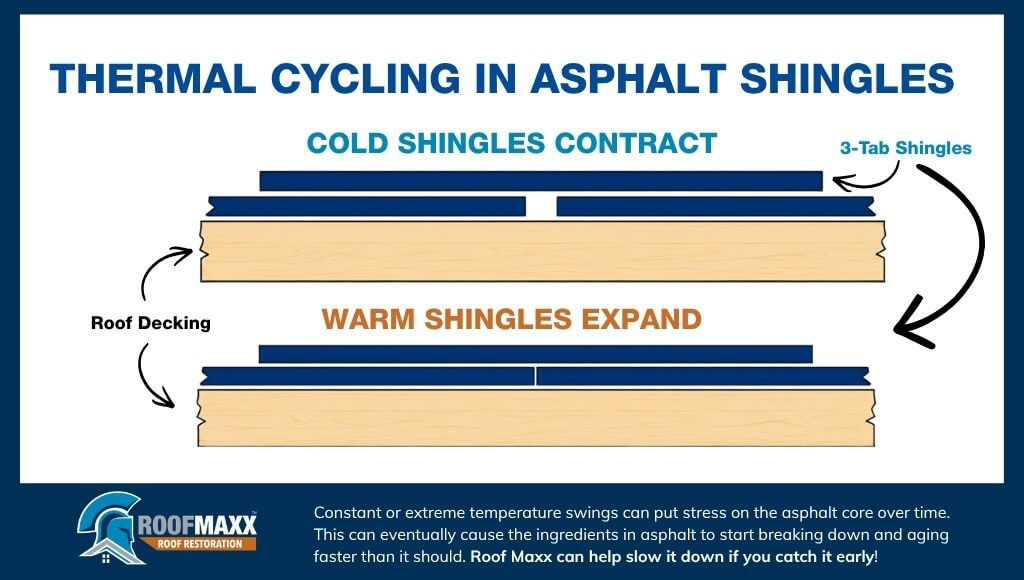 Infographic illustrating how asphalt shingles contract in cold temperatures and expand in warm temperatures due to thermal cycling.