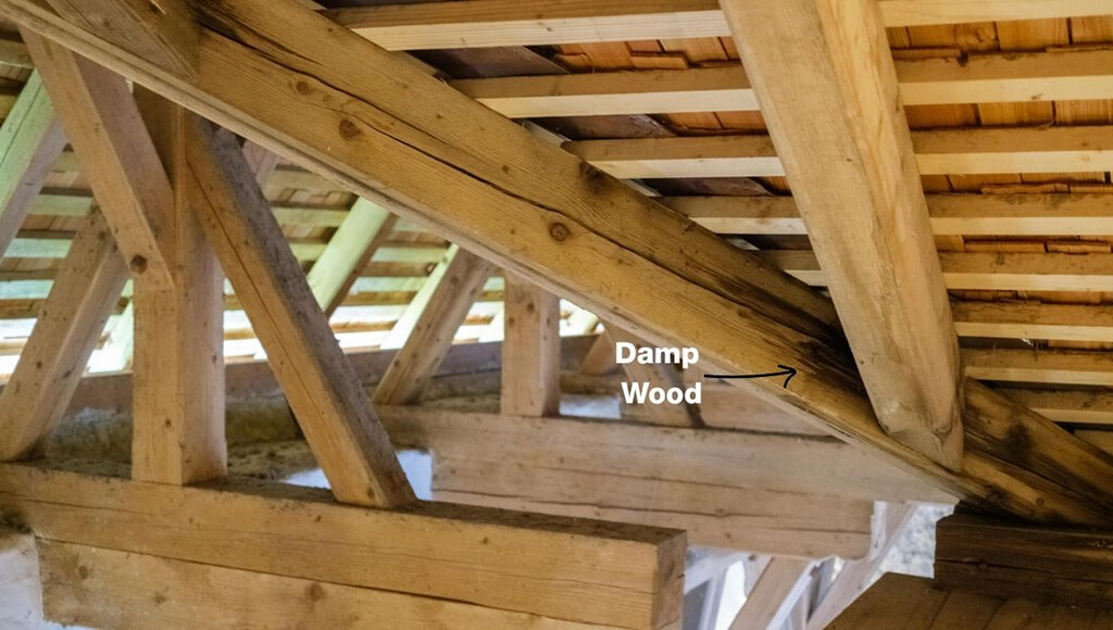 Exposed attic rafters with damp spots on the wooden beams, with a label pointing to the damp wood.