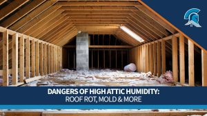 A wide empty attic with exposed wooden rafters and pink insulation on the floor, overlaid with the title Dangers of High Attic Humidity: Roof Rot, Mold and More.