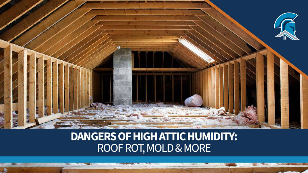 A wide empty attic with exposed wooden rafters and pink insulation on the floor, overlaid with the title Dangers of High Attic Humidity: Roof Rot, Mold and More.