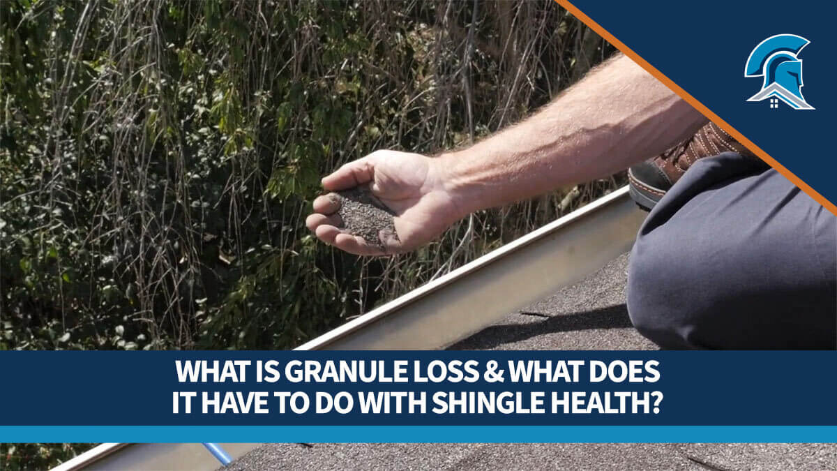 Roofer showing granule loss piling up in the gutter.