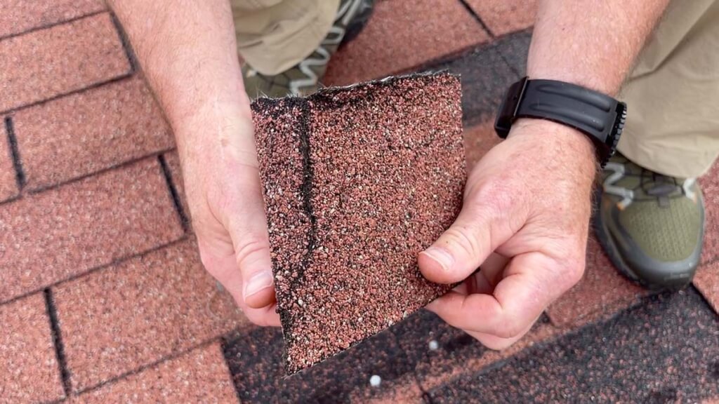 Close up shot of a roofer holding and showing a cracked shingle from a brown asphalt roof.
