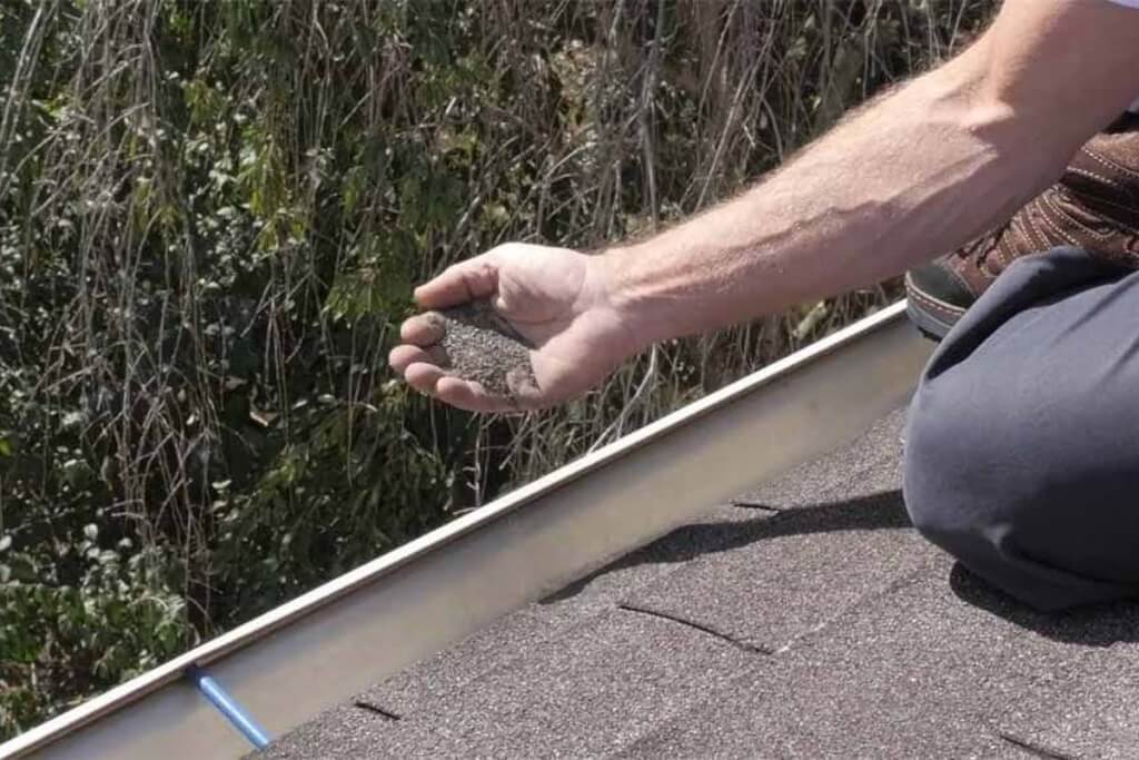 A roofer holds a handful of granules collected from a gutter beside an asphalt shingle roof showing signs of granule loss.