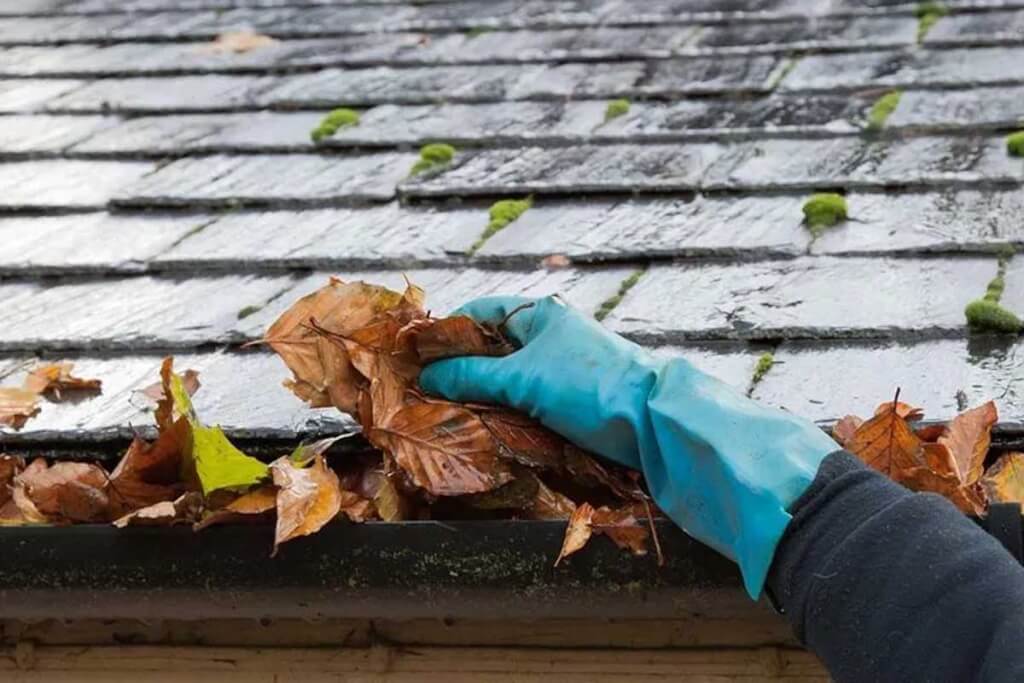 A gloved hand clears leaves and debris from the edge of an asphalt shingle roof.
