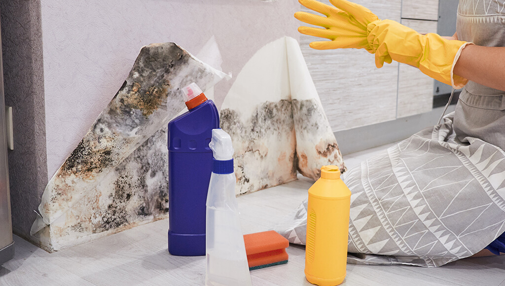 Person cleaning up moldy wallpaper with cleaning supplies