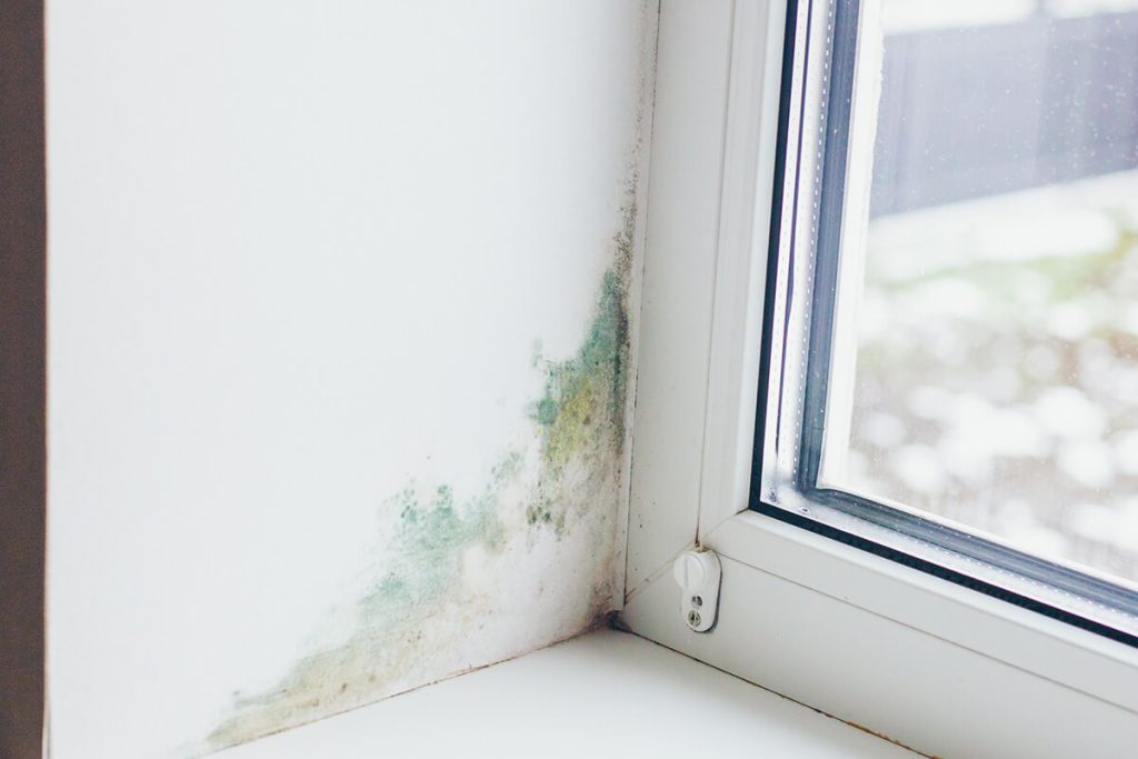 Mold growths on a white wall next to a vinyl window frame.