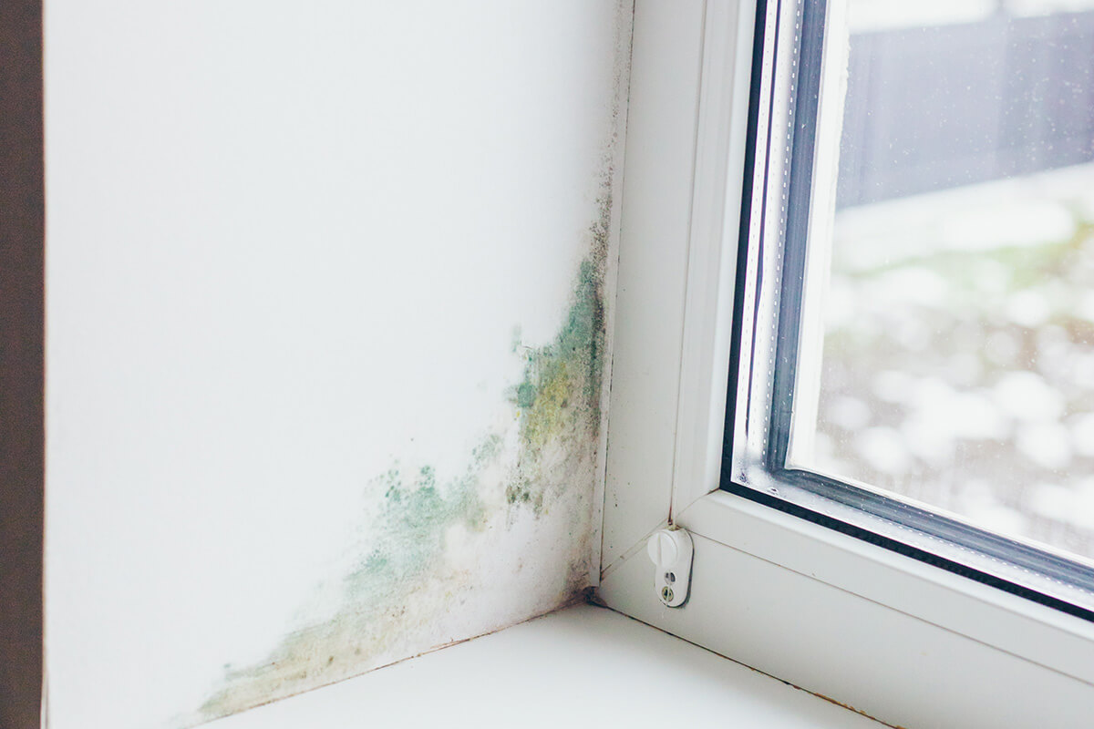Mold growths on a white wall next to a vinyl window frame.