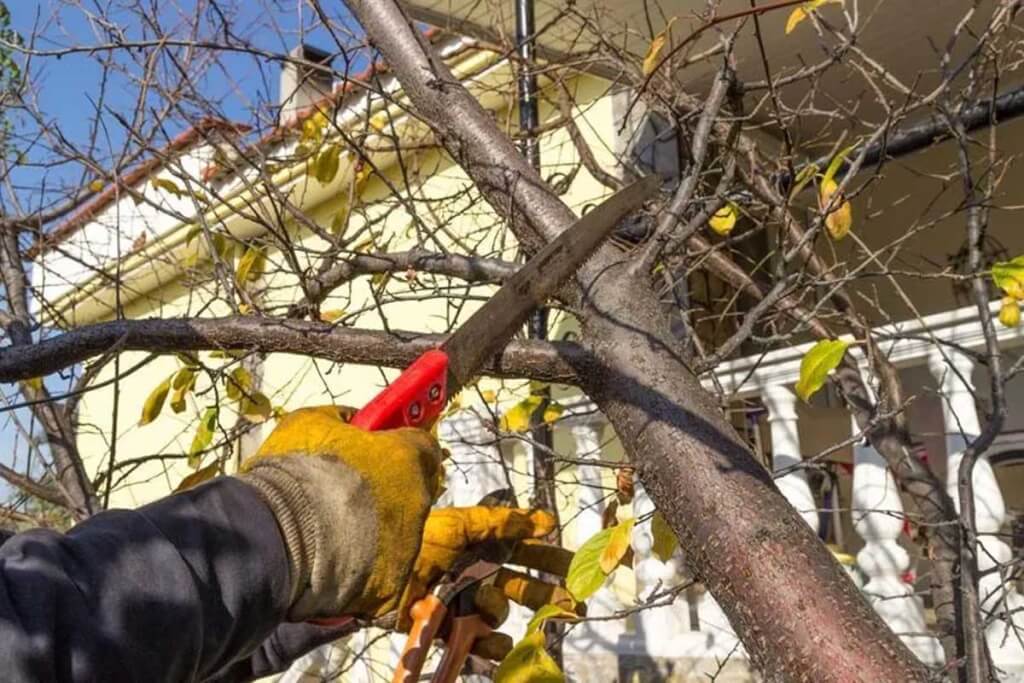 A person trims tree branches growing close to a residential roof.
