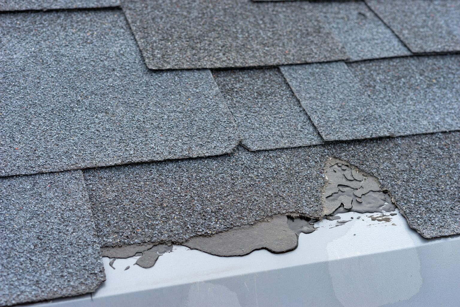 How to Determine the Age of Your Roof Roof Maxx