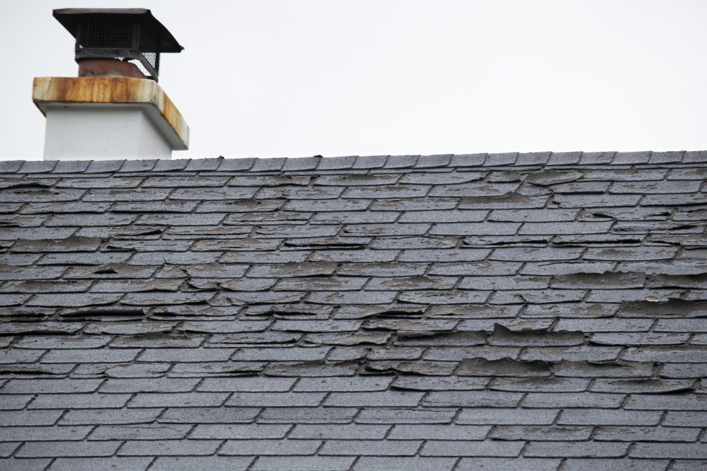 curled asphalt shingles