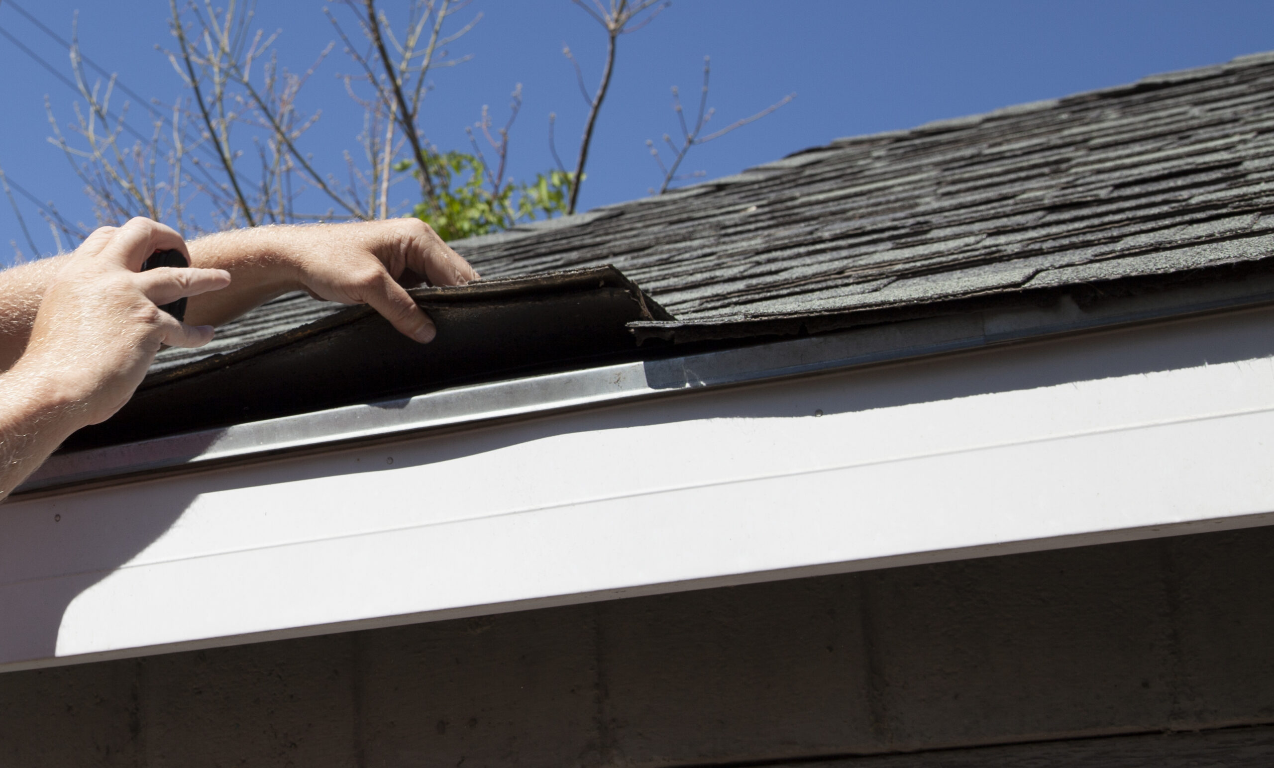 Check if roof replacement is needed.
