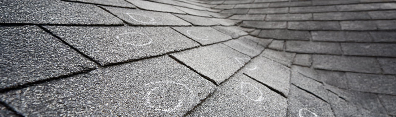 A closeup of an asphalt shingle roof showing hail impact damage circled in roofing chalk.