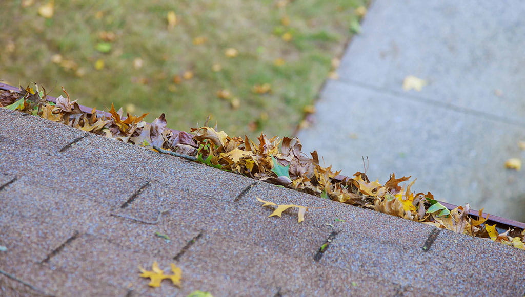 Dirty roof with gutter with leaves requiring cleaning.