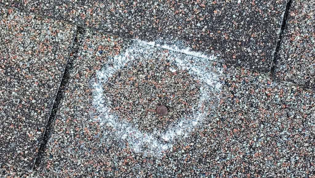 Nail pop on asphalt shingles circled in white chalk